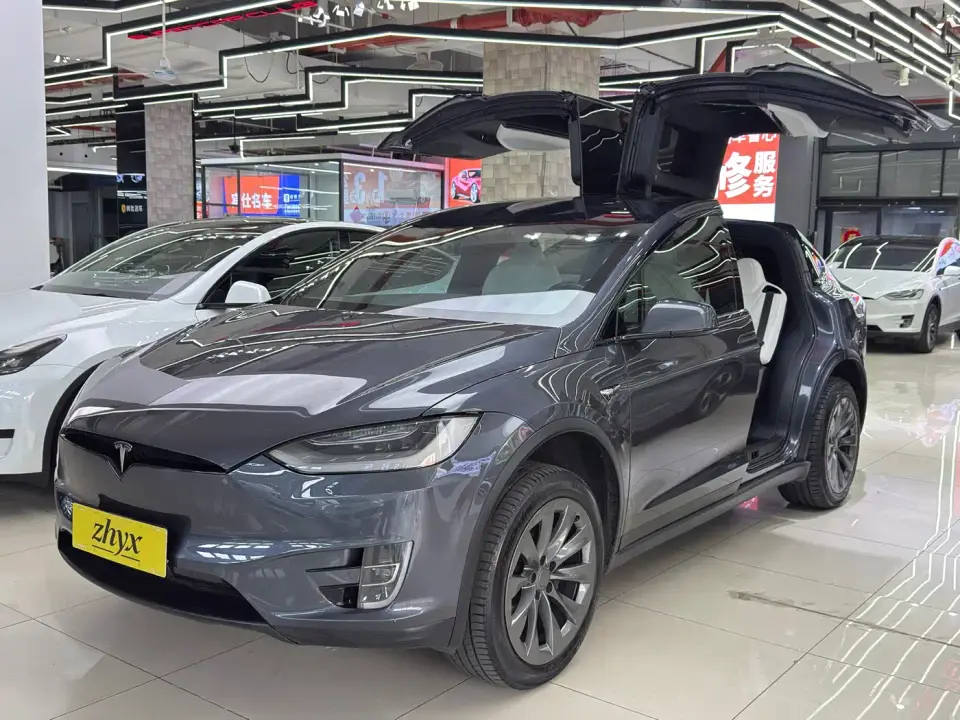Tesla Model X Long Range Version 2020