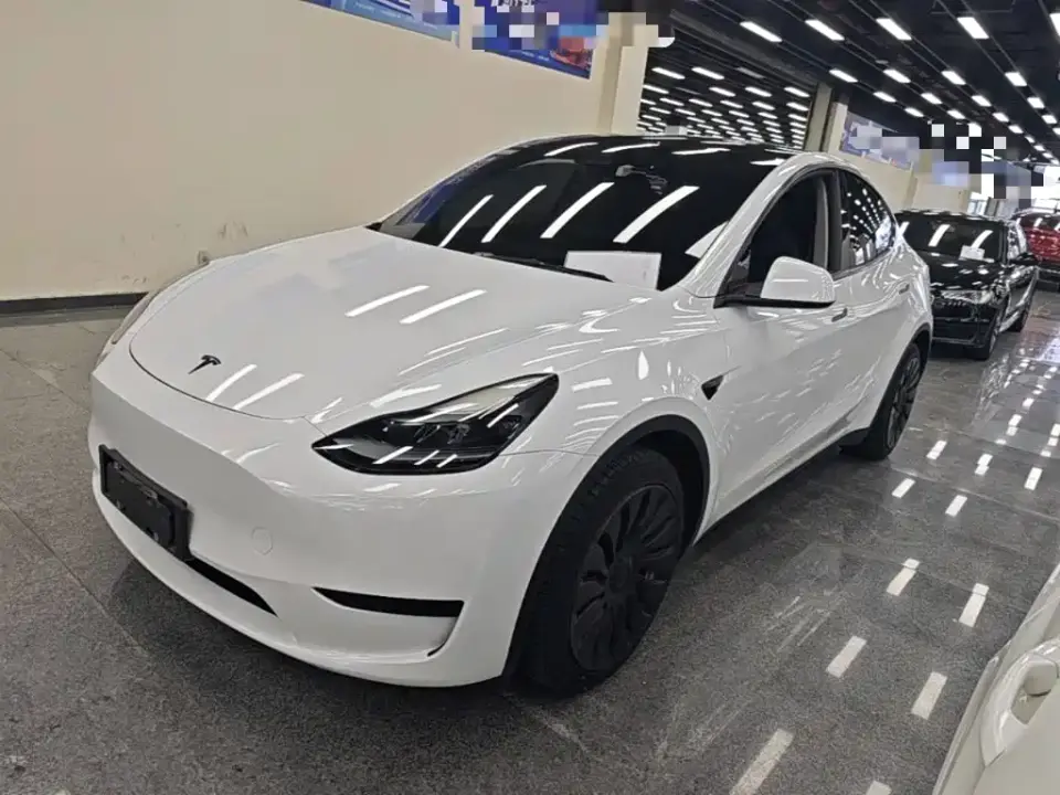 Tesla Model Y Rear-Wheel Drive Version 2022