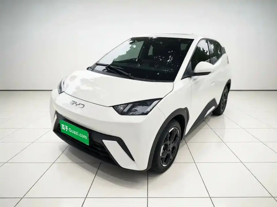 BYD Seagull 305km Freedom 2025