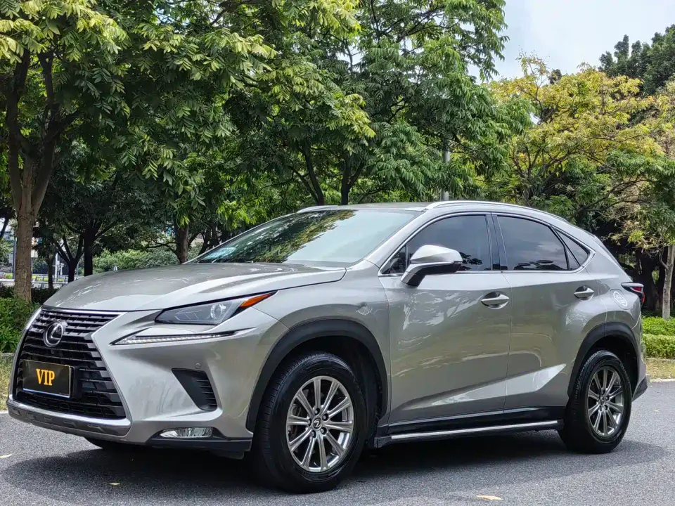 Lexus NX Model 200 FWD Fengxing Edition China V 2019