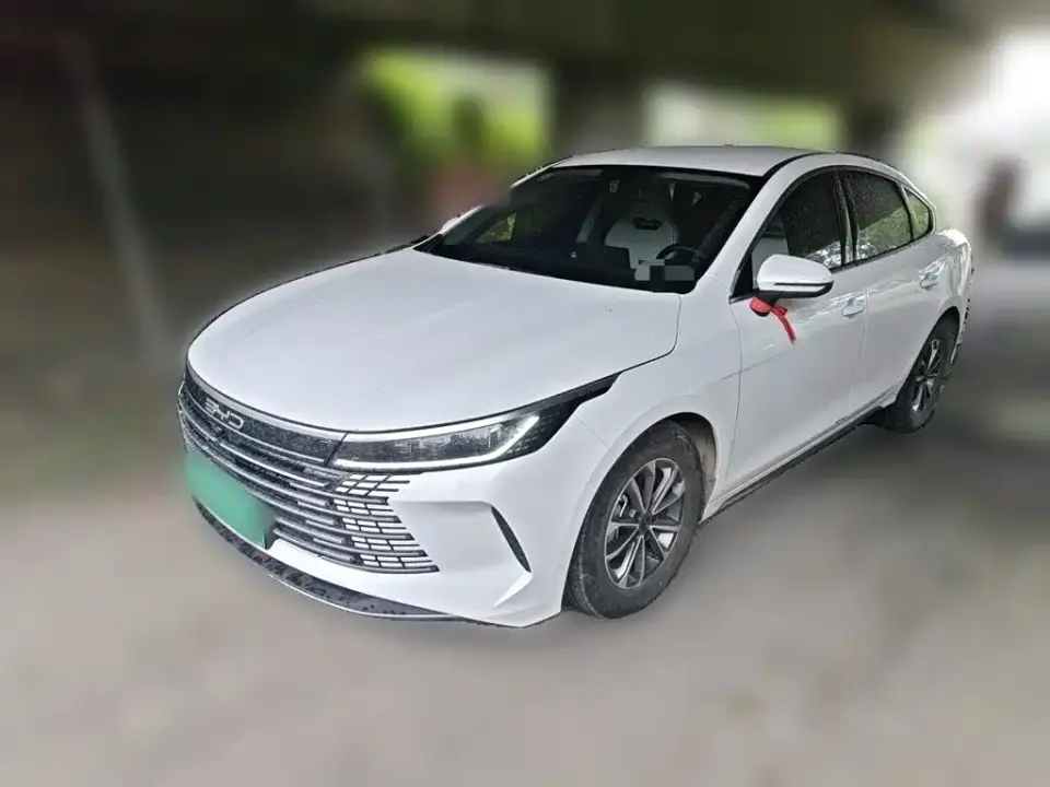 BYD Qin PLUS Glory Edition DM-i 55KM Leading 2024