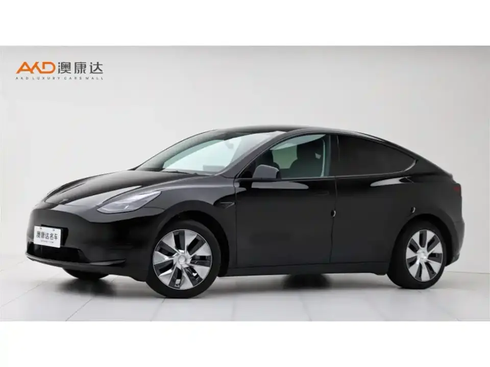 Tesla Model Y Rear-Wheel Drive Version 2023