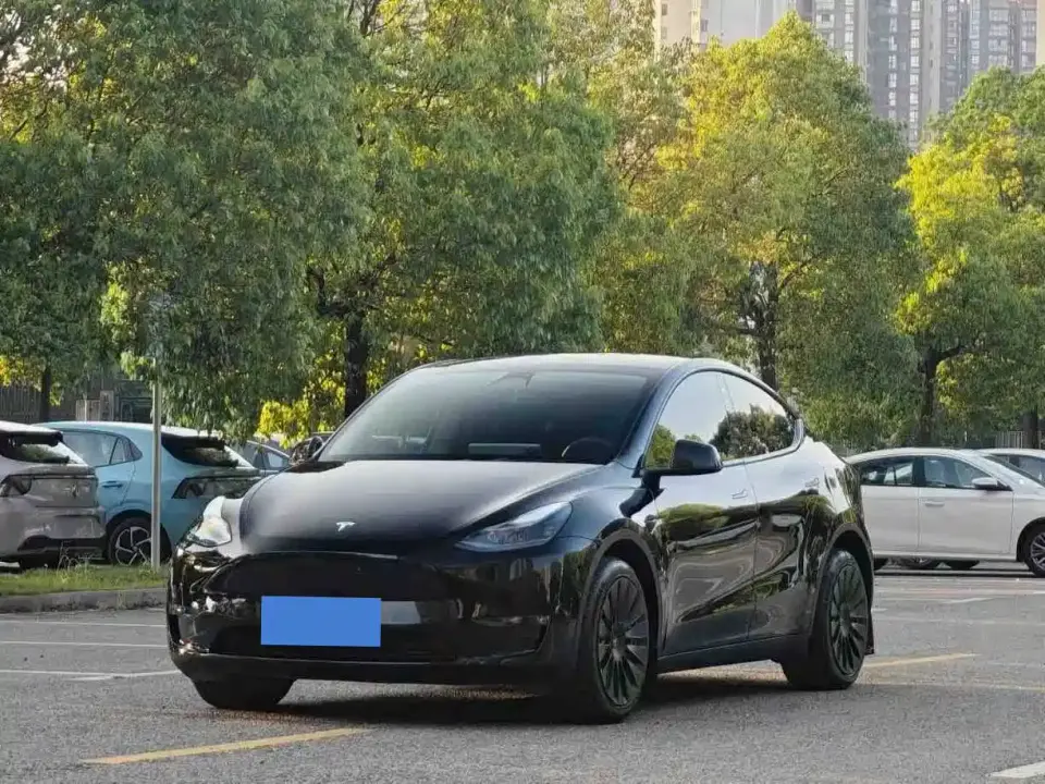 Tesla Model Y Rear-Wheel Drive Version 2022
