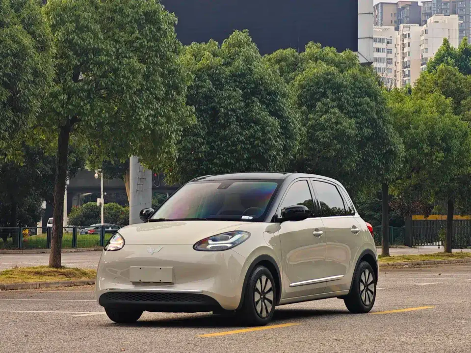 Wuling Motors Wuling Bingo 333km Smart Connectivity Edition 2023