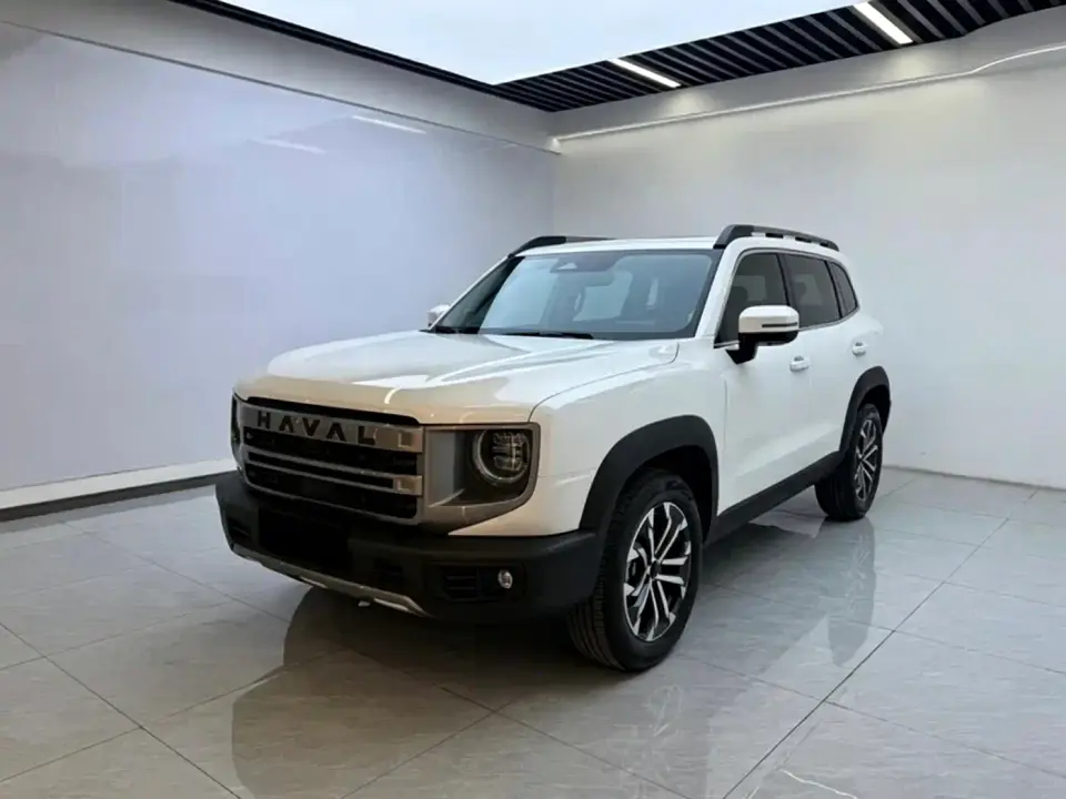 Haval Big Dog 1.5T DCT Border Collie Edition 2024