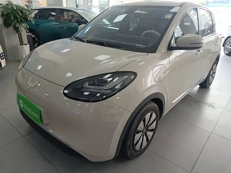 Wuling Motors Wuling Bingo Model 333km Joy+ Version 2024