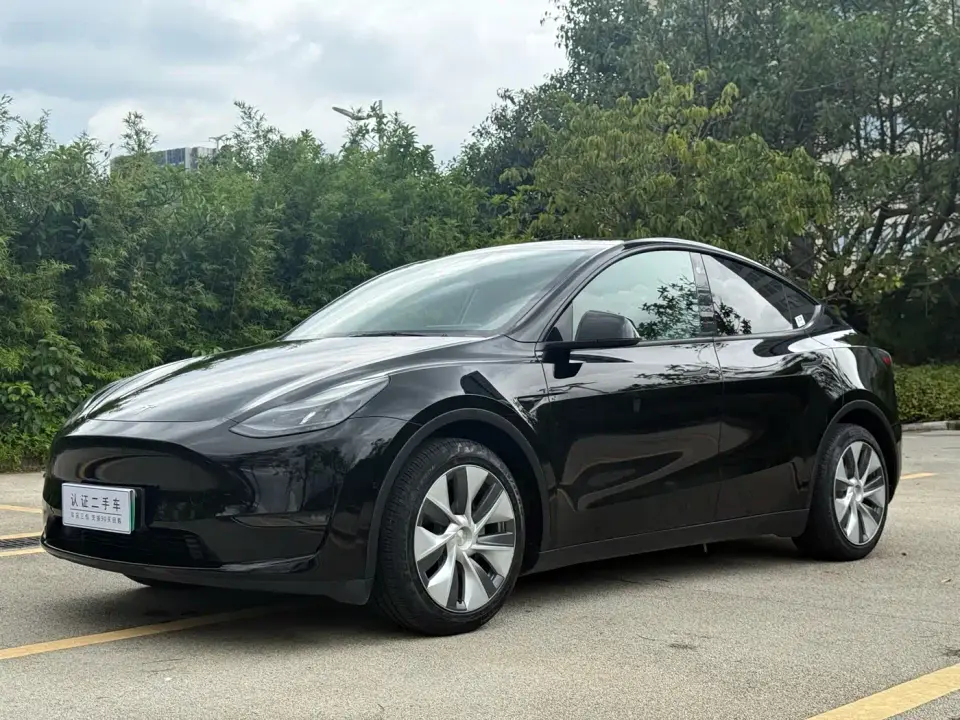 Tesla Model Y Standard Range Rear-Wheel Drive 2021