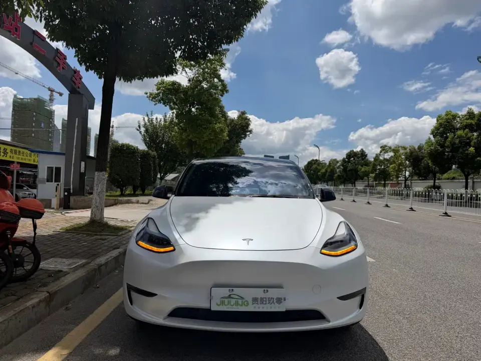 Tesla Model Y Standard Range Rear-Wheel Drive 2021