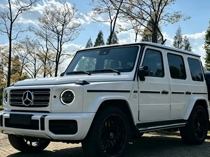 Mercedes-Benz G-Class G 500 2019