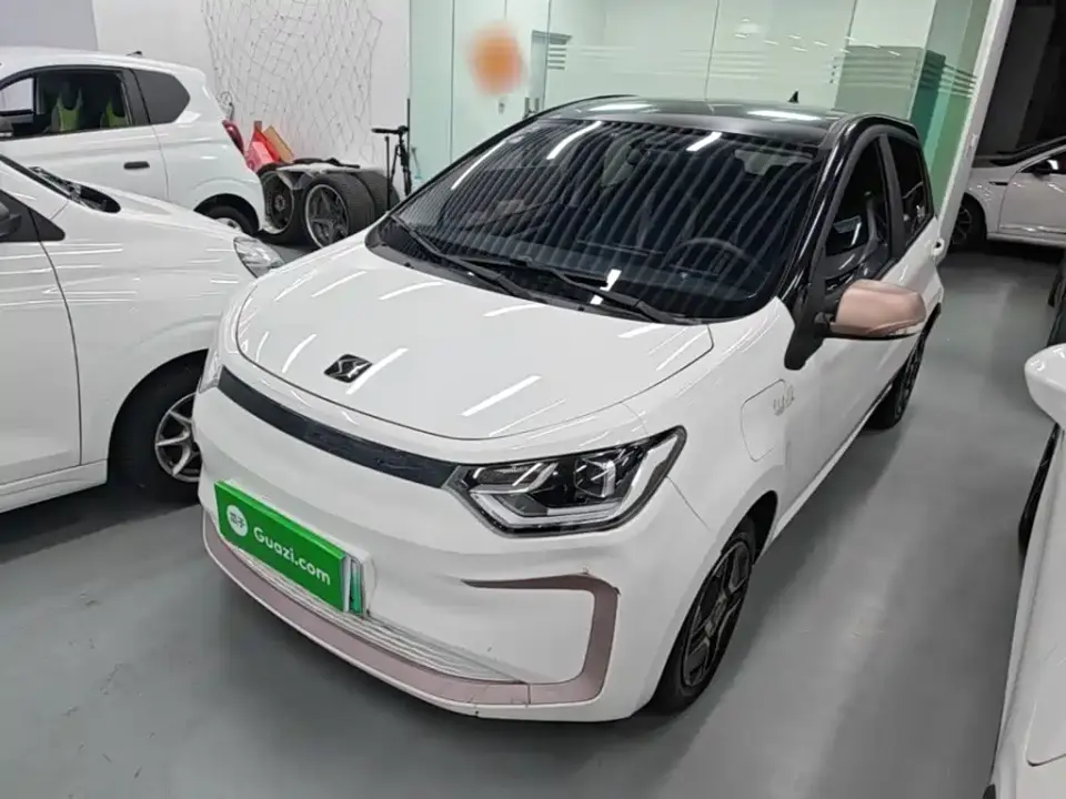 Sehol Flower Fairy 302km Fashion Edition 31.4kWh 2022