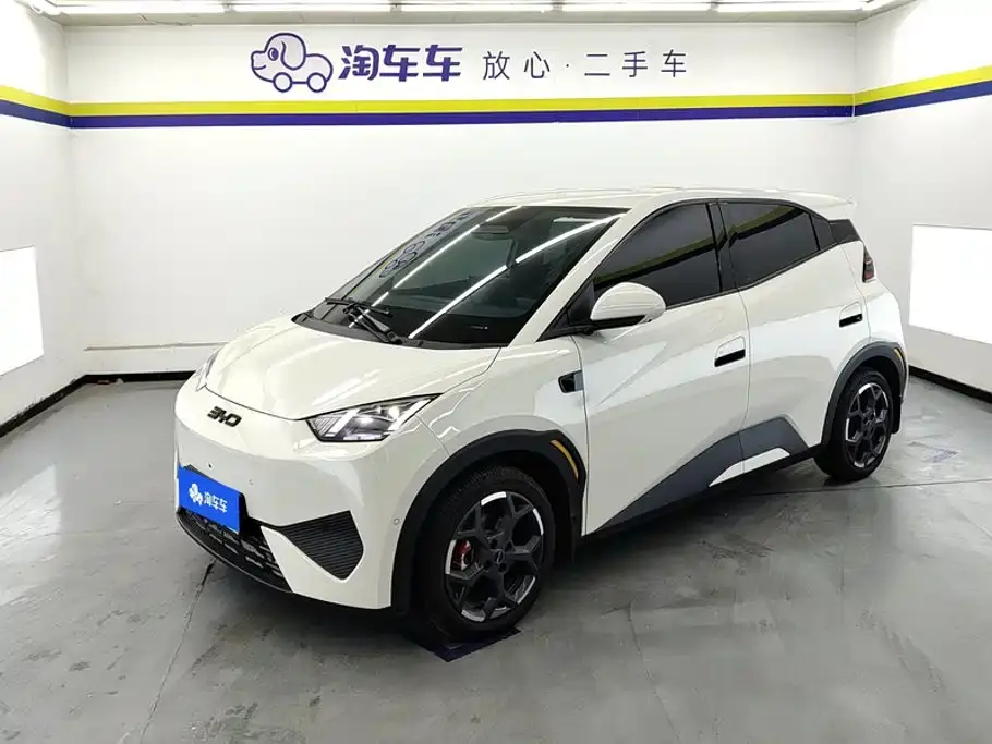 BYD Seagull Smart Drive Edition 305km Freedom Version 2025