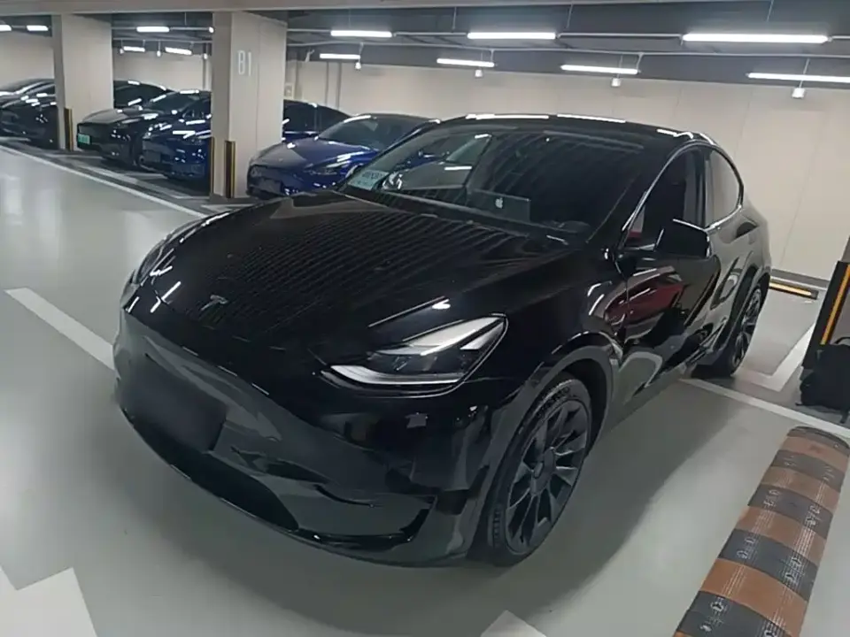 Tesla Model Y Rear-Wheel Drive Version 2022