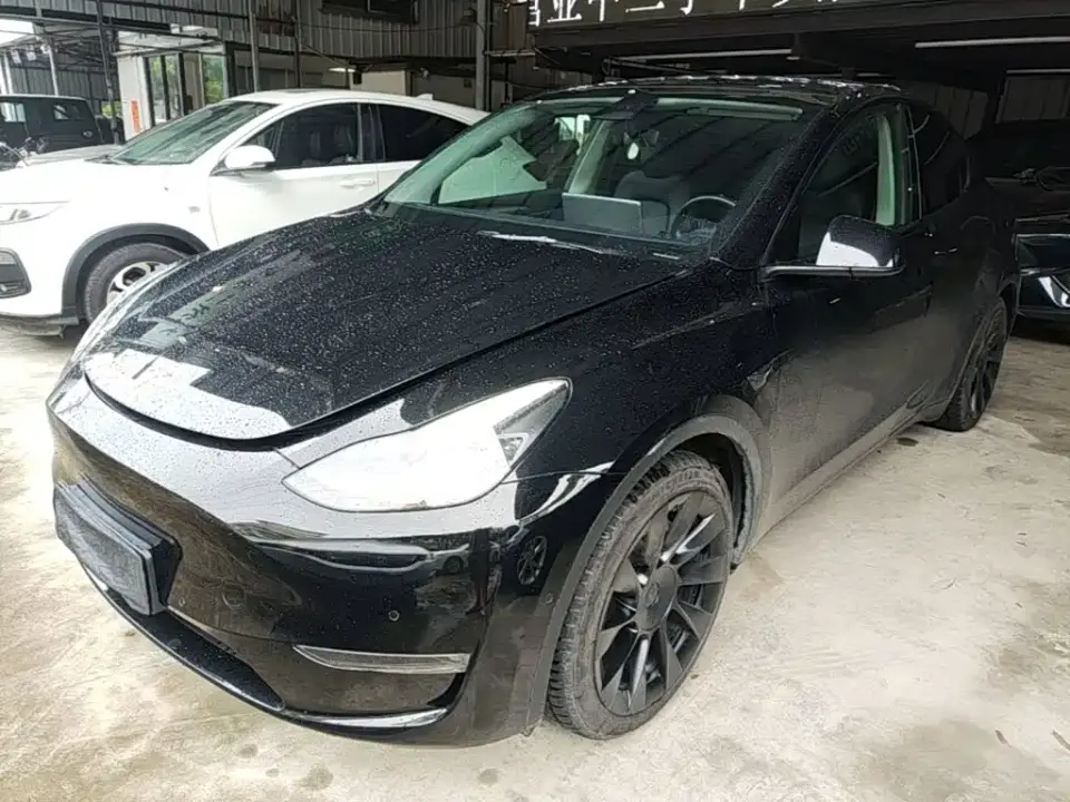 Tesla Model Y Standard Range Rear-Wheel Drive 2021