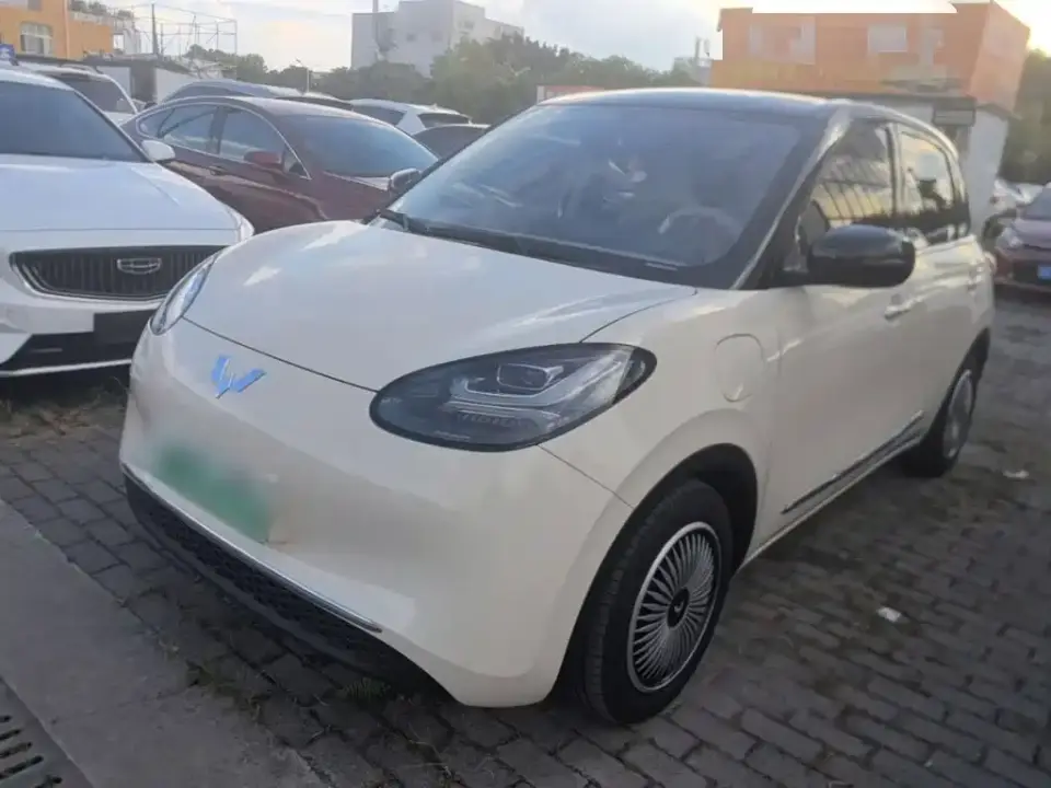 Wuling Motors Wuling Bingo Model 333km Smart Connect 2025