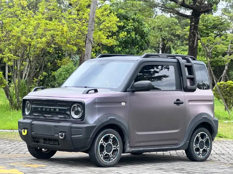 Geely Galaxy Panda Model Year 210km Panda Knight 2024