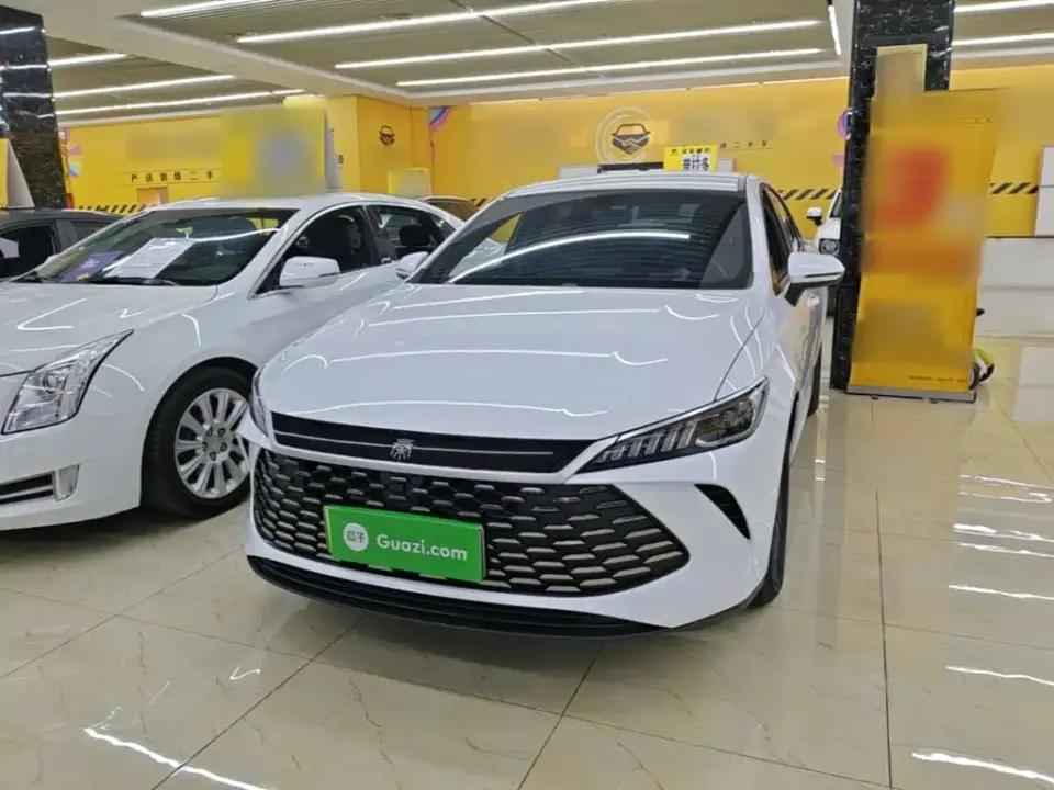 BYD Qin PLUS DM-i Smart Drive 55KM Leader 2025