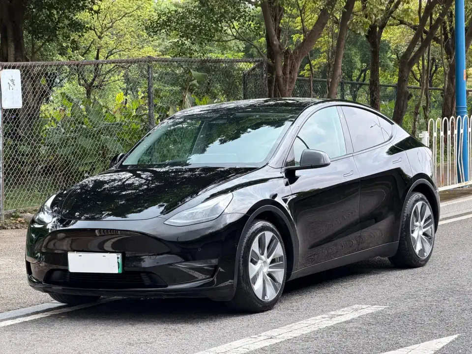 Tesla Model Y Model Long Range AWD 2021