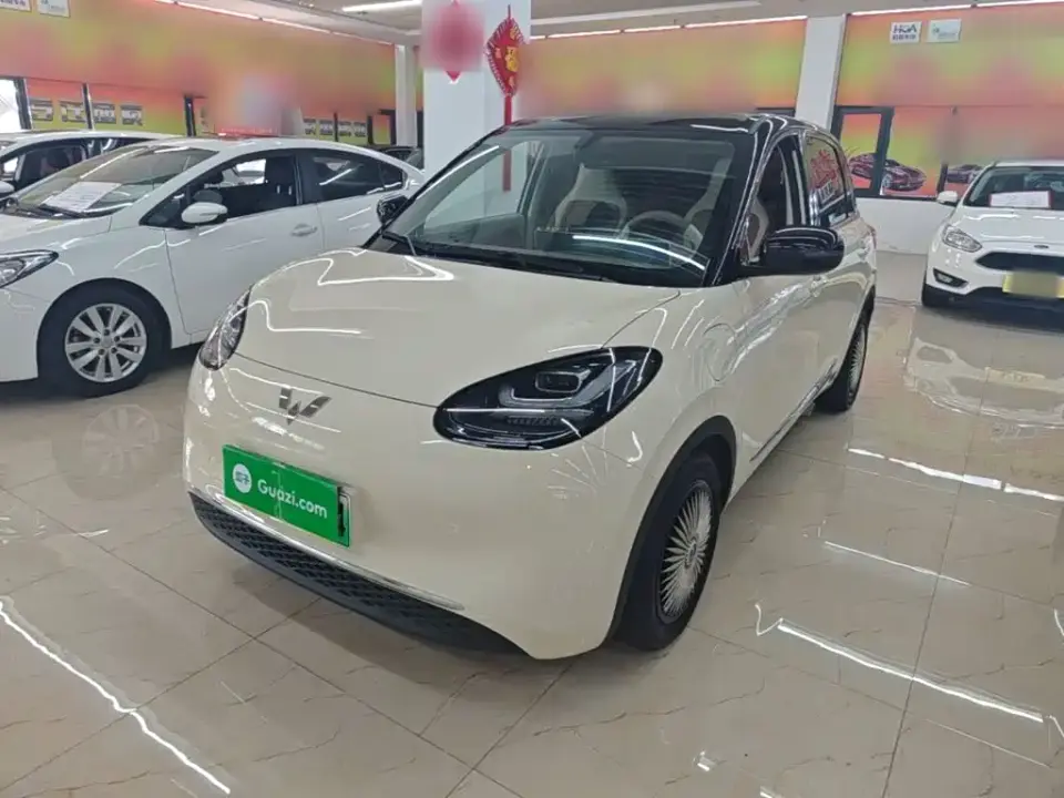Wuling Motors Wuling Bingo Model 333km Smart Connect 2025