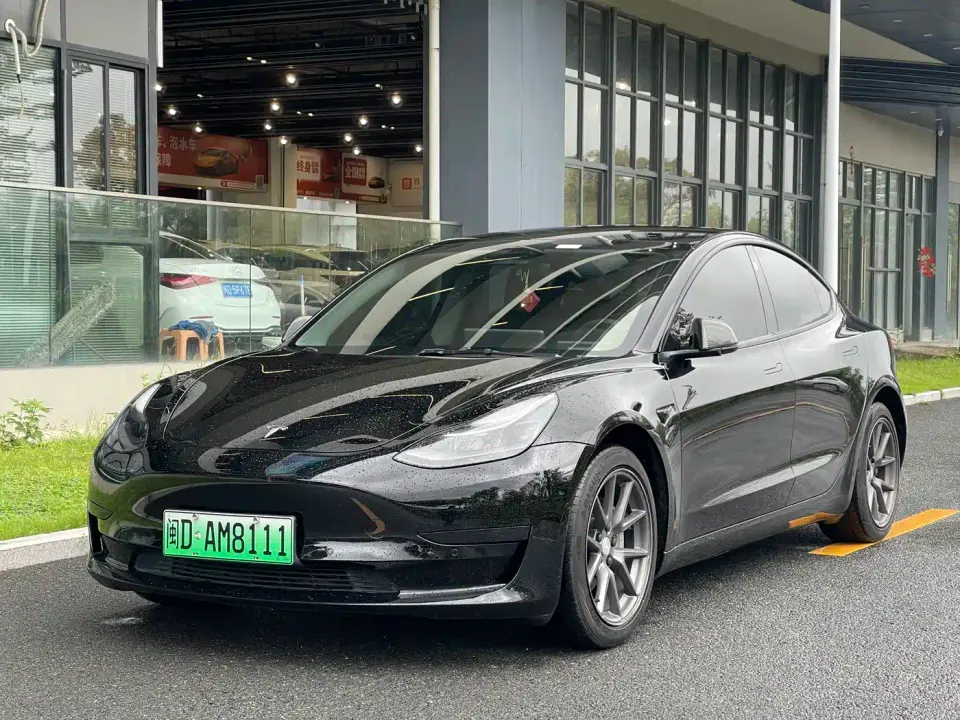 Tesla Model 3 Standard Range Rear-Wheel Drive Upgrade 3D6 2021