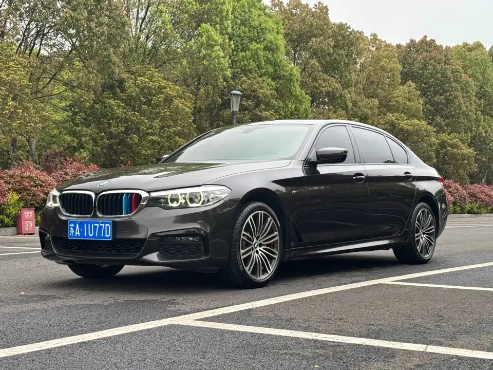 BMW 5 Series 530Li Leading M Sport Package 2019
