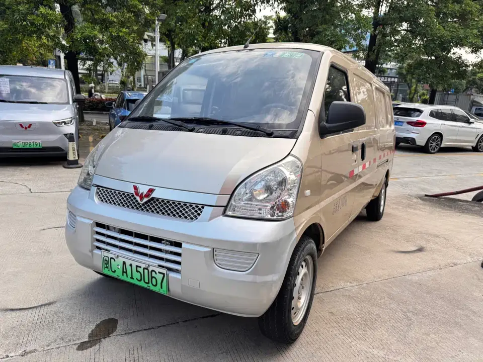 Wuling Motors Wuling Rongguang EV Sealed Window Basic 2-seater 300KM 2020