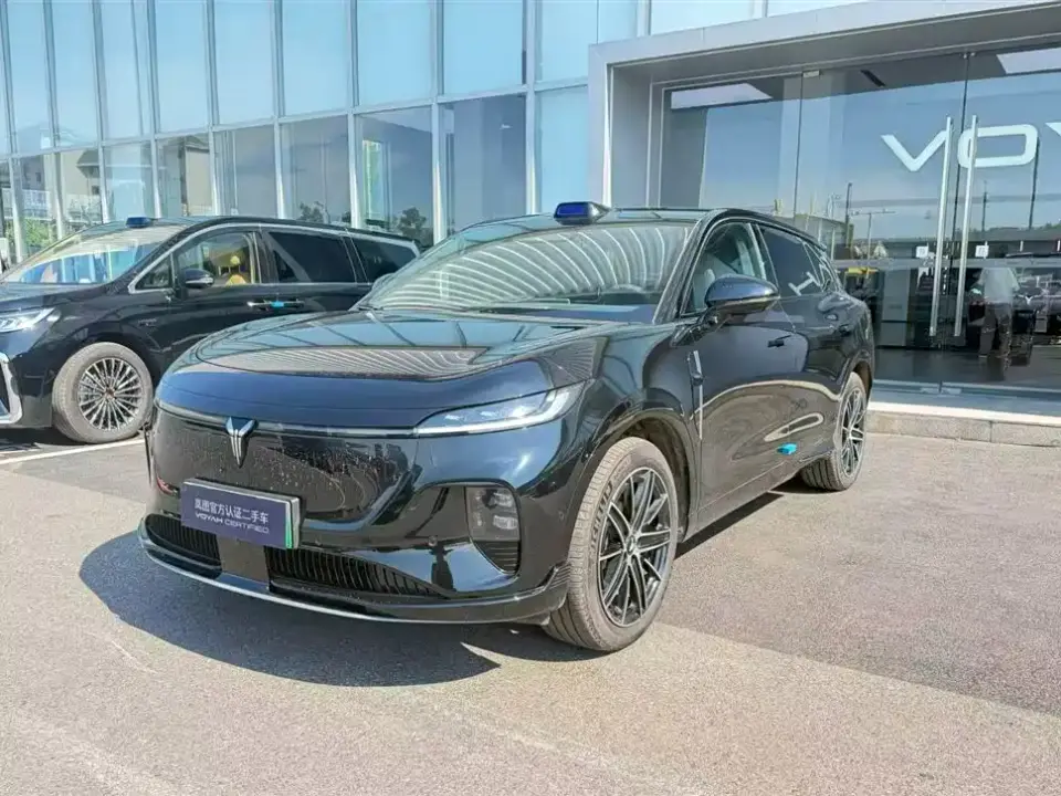 Voyah Auto Voyah Zhiyin Base 2025