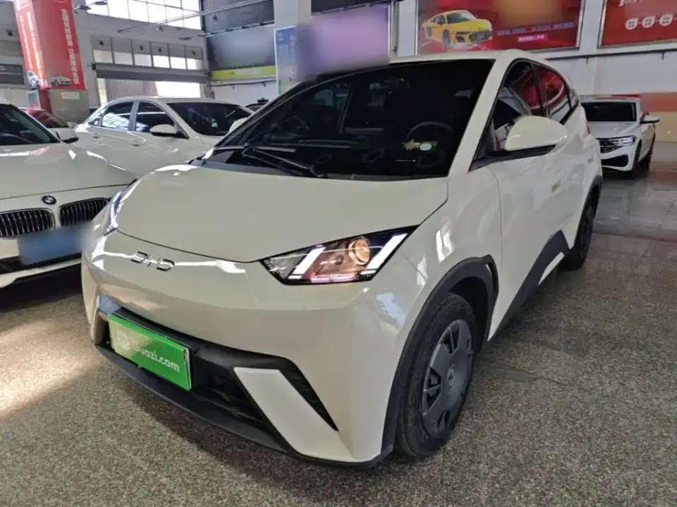 BYD Seagull Glory Edition 305km Vitality Edition 2024
