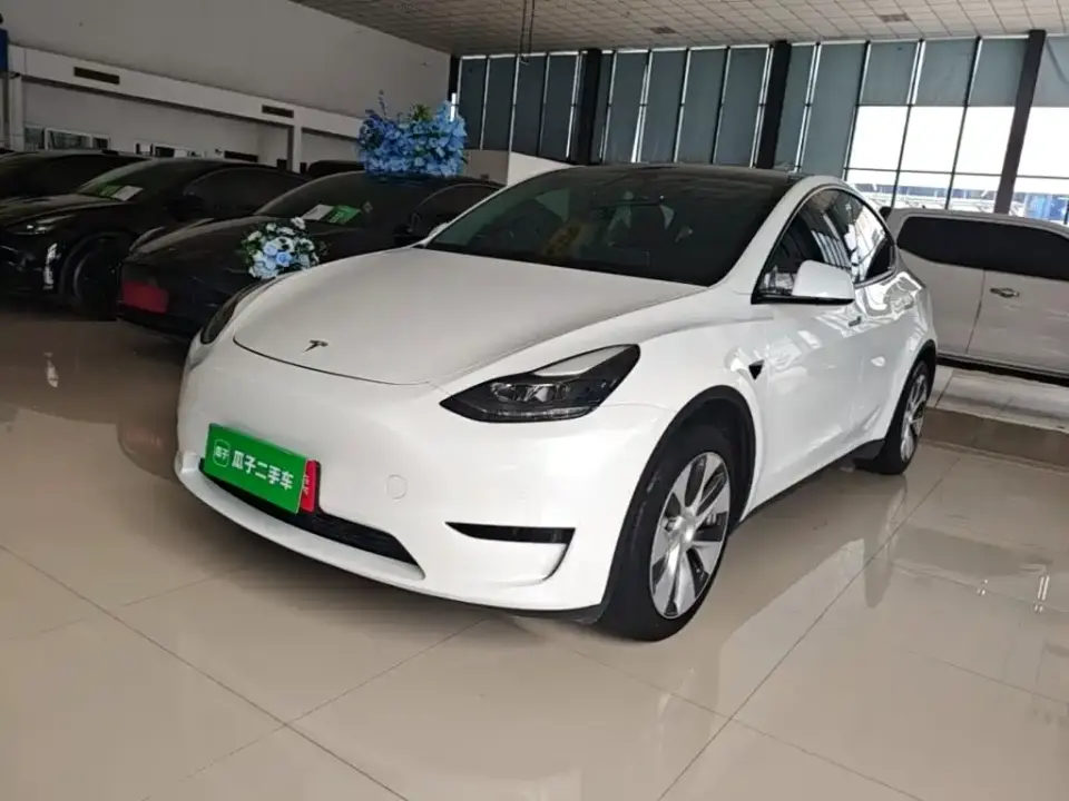 Tesla Model Y Rear-Wheel Drive Version 2022