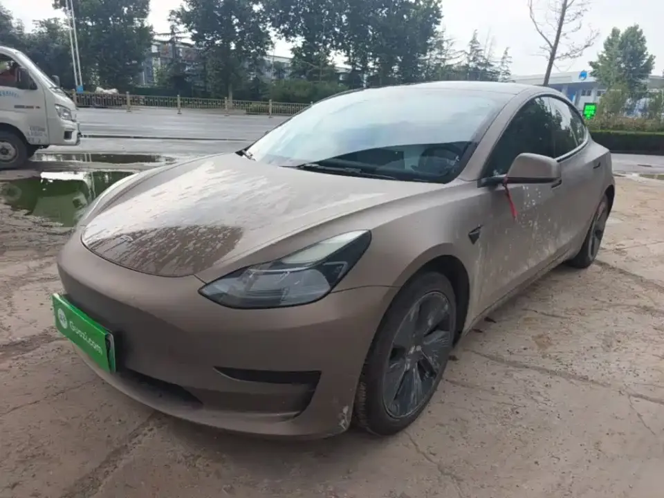 Tesla Model 3 Model Rear-Wheel Drive Version 2022
