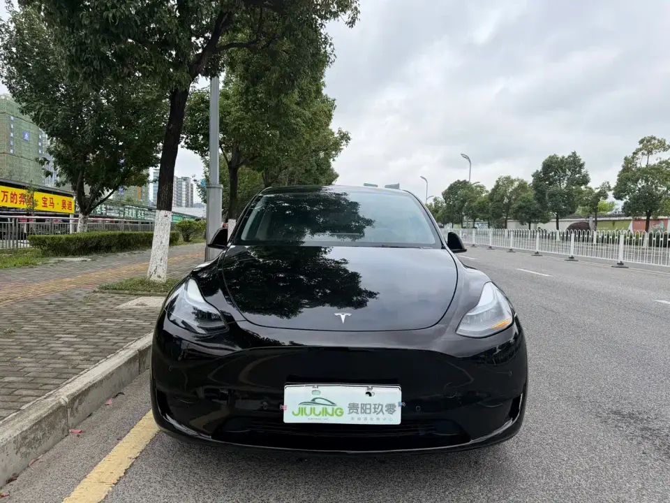 Tesla Model Y Rear-Wheel Drive Version 2023