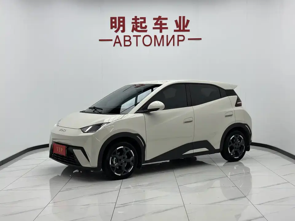 BYD Seagull Glory Edition 405km Soaring Edition 2024