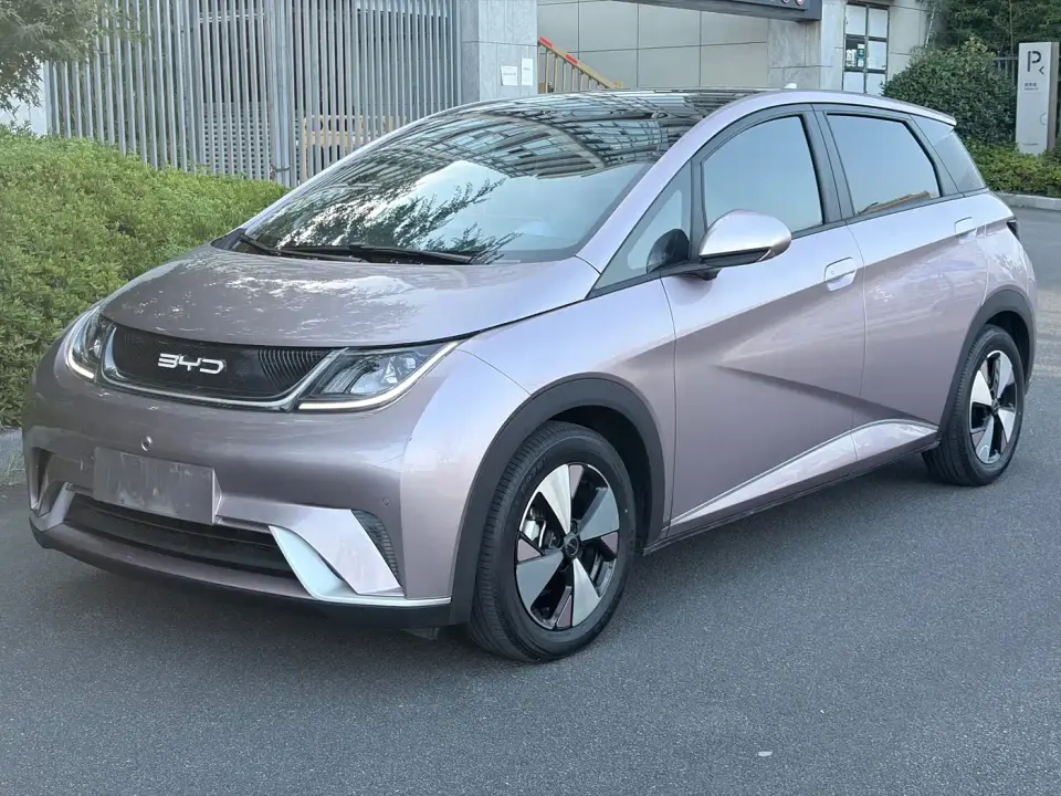 BYD Dolphin Glory Edition 420km Fashion Edition 2024