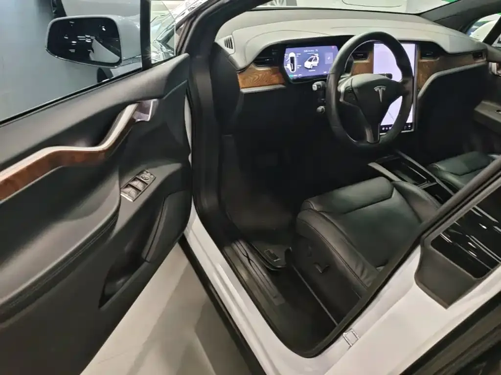 Tesla Model X Standard Range Version 2019 — фото 12