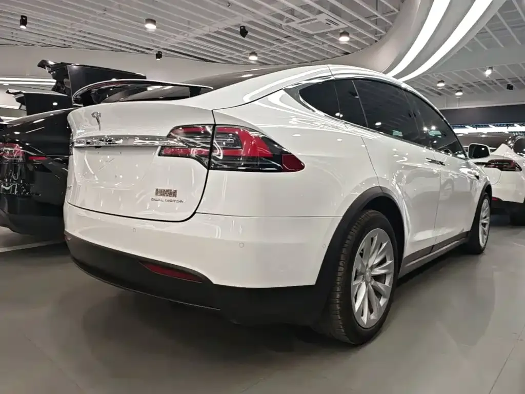 Tesla Model X Standard Range Version 2019 — фото 5