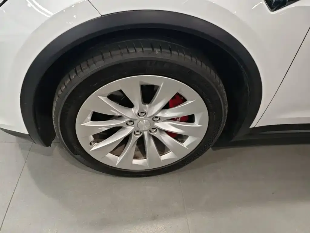 Tesla Model X Standard Range Version 2019 — фото 25