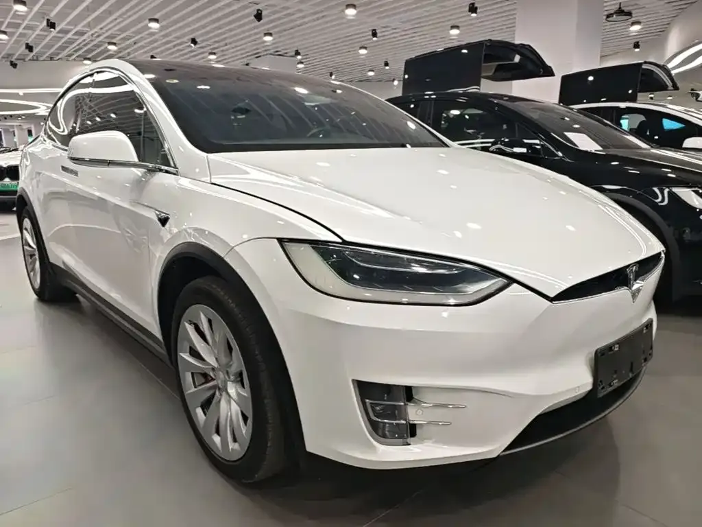 Tesla Model X Standard Range Version 2019 — фото 22