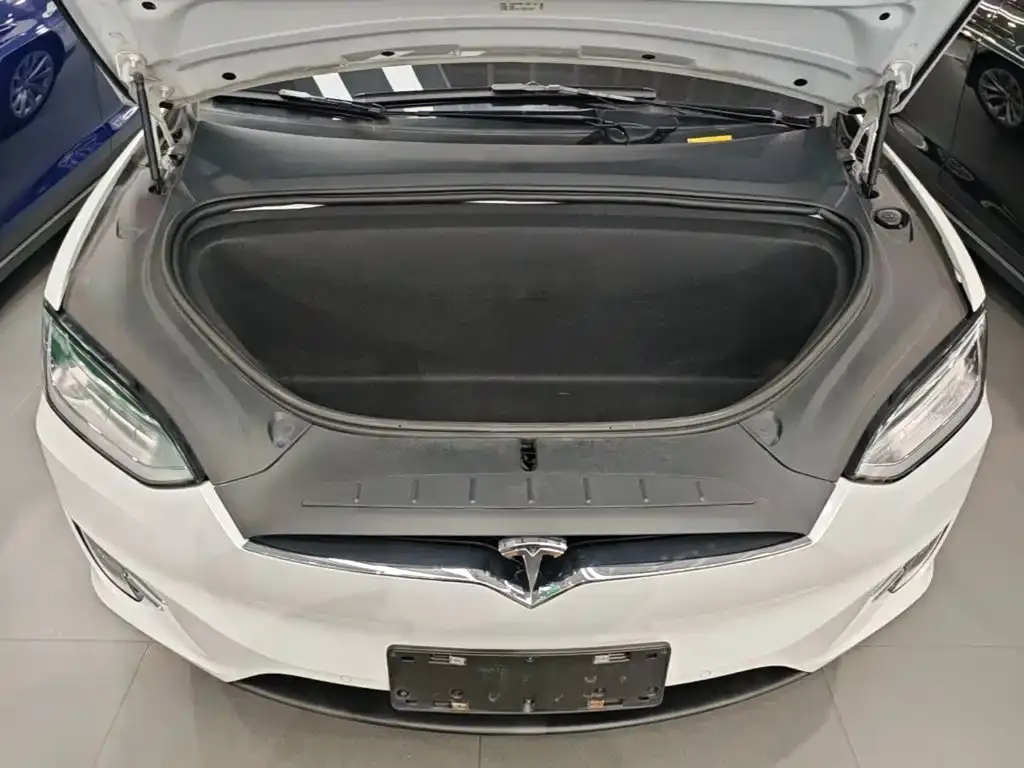 Tesla Model X Standard Range Version 2019 — фото 16