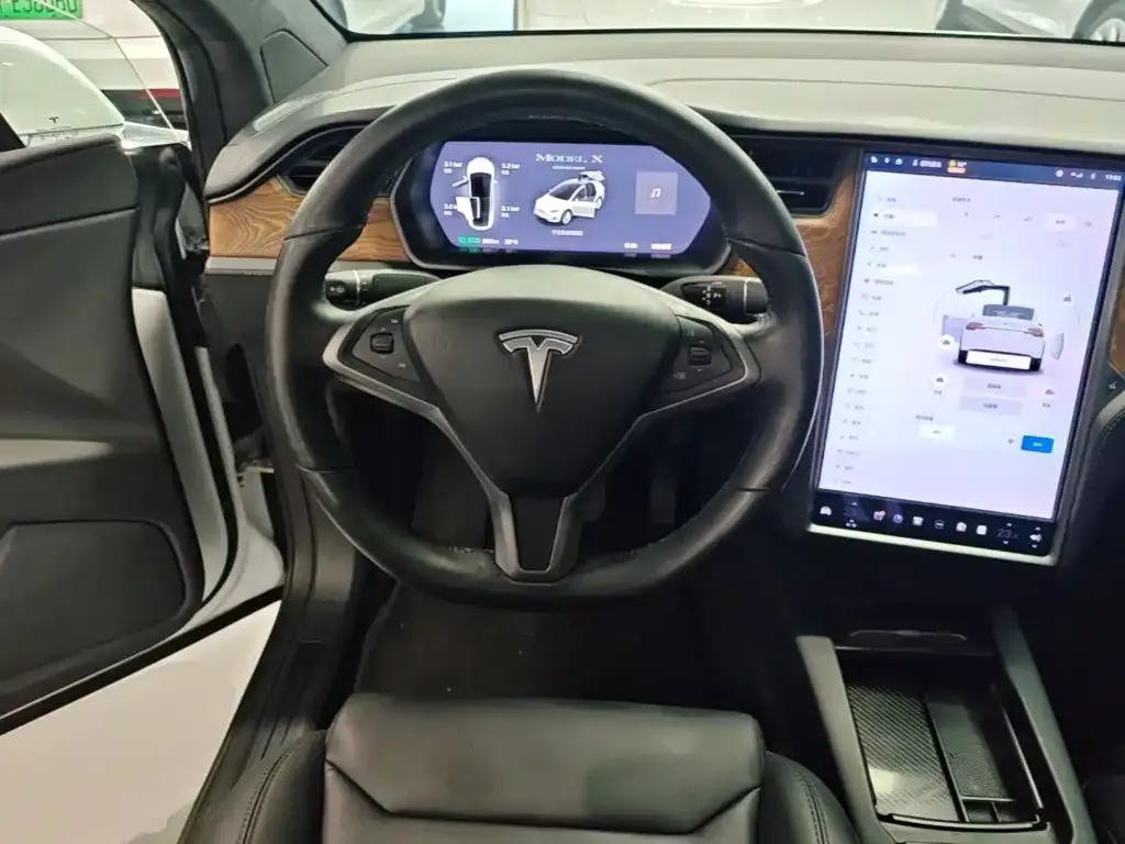Tesla Model X Standard Range Version 2019 — фото 7