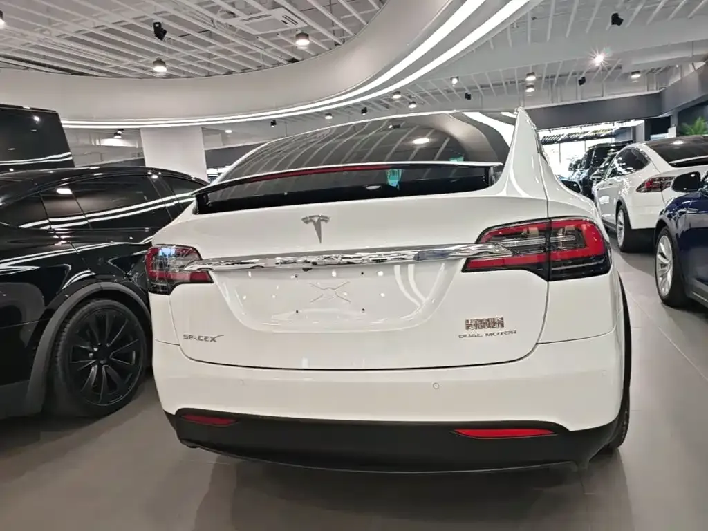 Tesla Model X Standard Range Version 2019 — фото 4