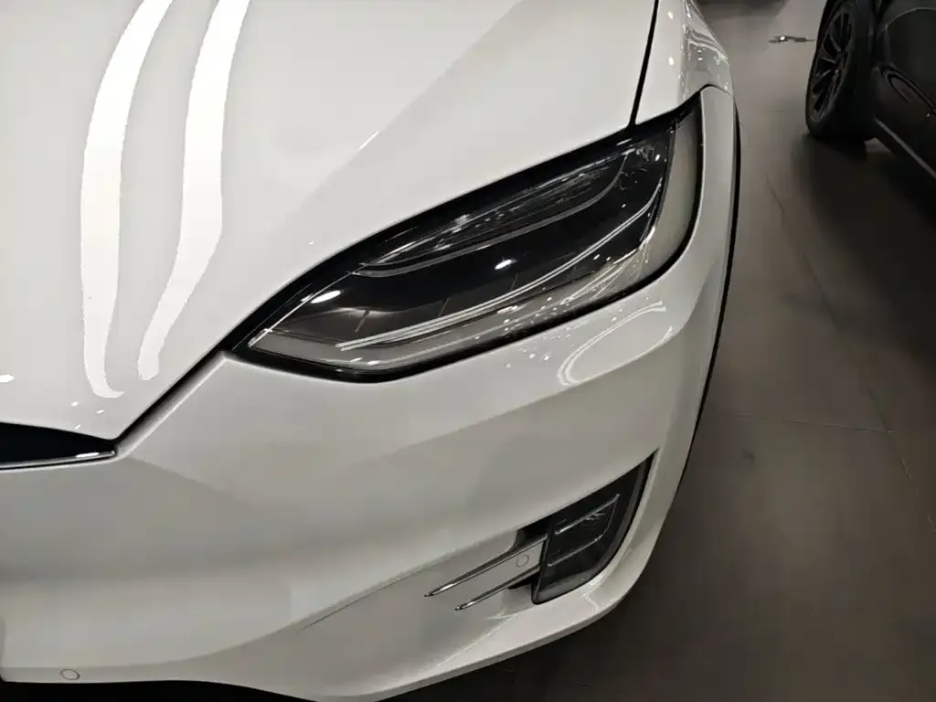 Tesla Model X Standard Range Version 2019 — фото 18