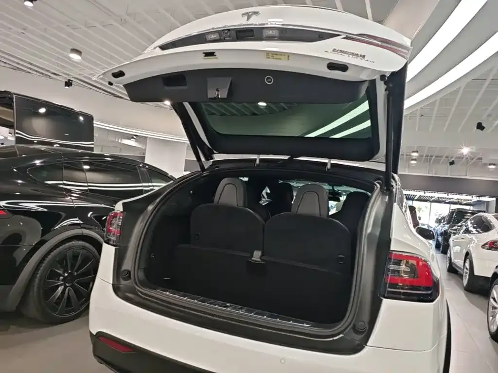 Tesla Model X Standard Range Version 2019 — фото 15