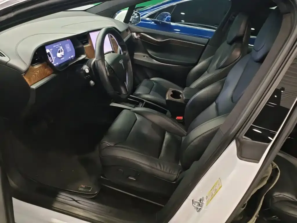 Tesla Model X Standard Range Version 2019 — фото 11