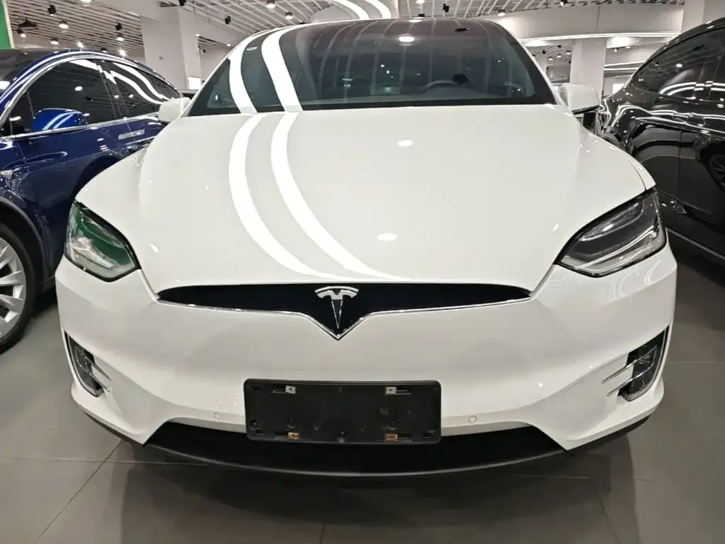 Tesla Model X Standard Range Version 2019 — фото 3
