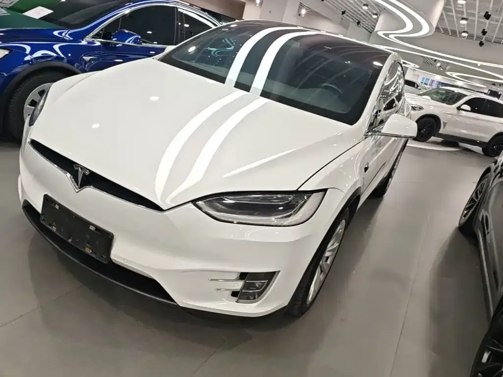 Tesla Model X Standard Range Version 2019
