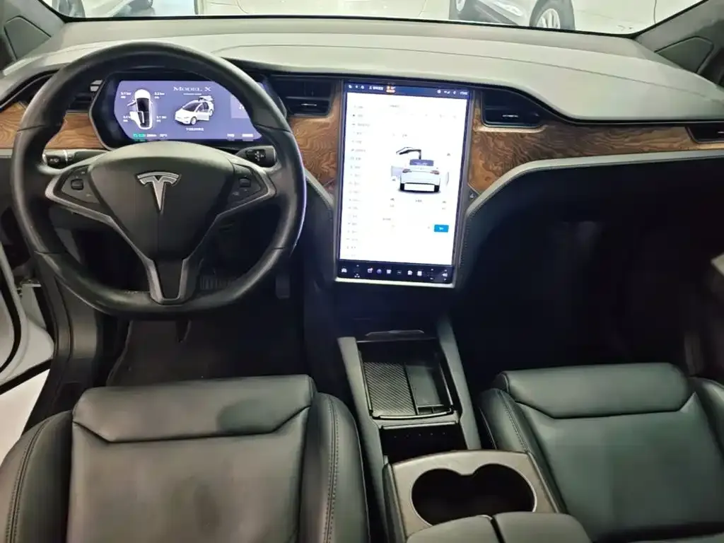 Tesla Model X Standard Range Version 2019 — фото 6