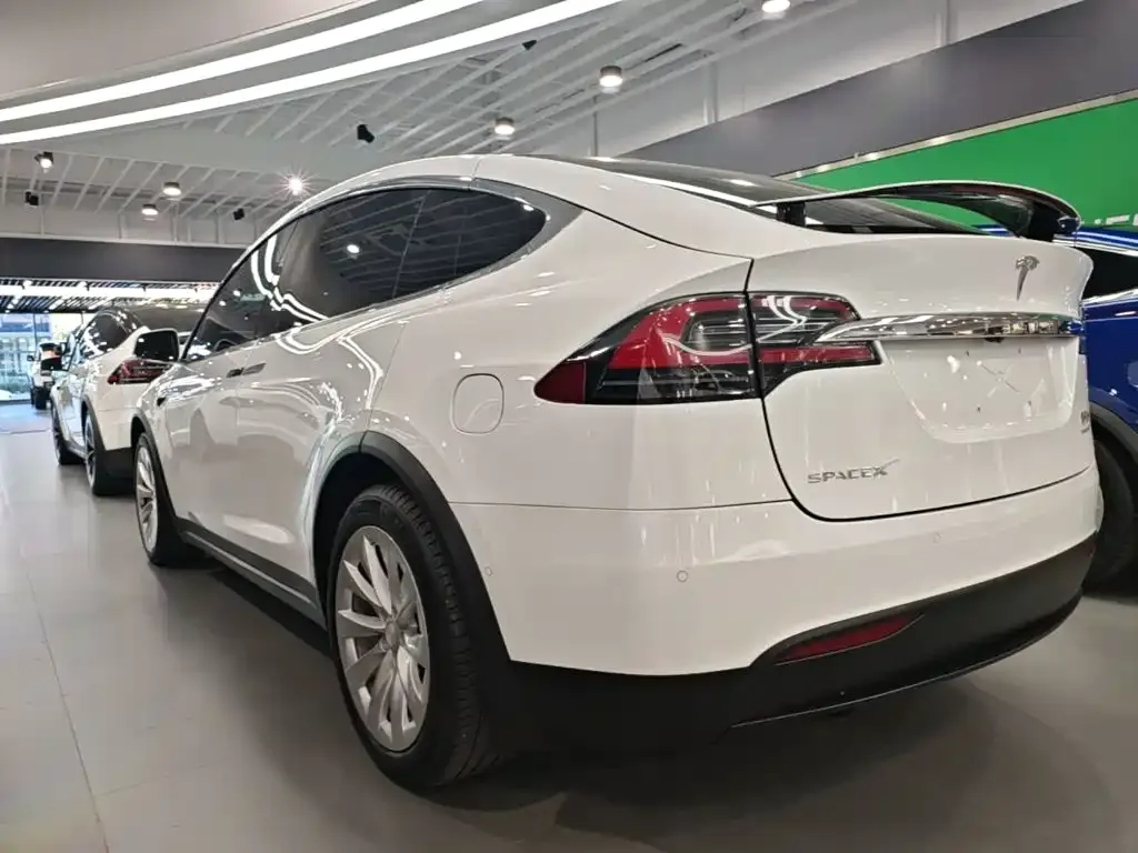 Tesla Model X Standard Range Version 2019 — фото 23