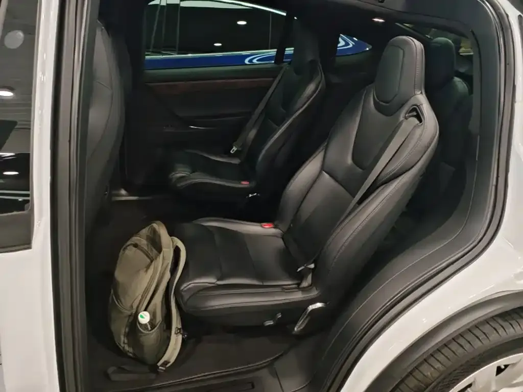 Tesla Model X Standard Range Version 2019 — фото 13