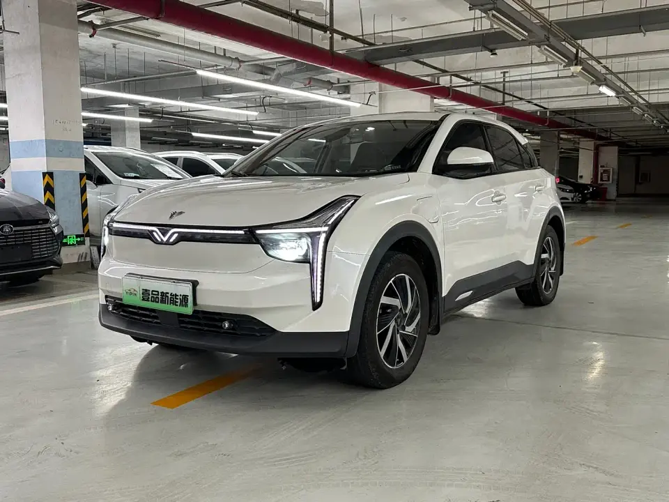 Neta U Facelift Pro 400 Industry Custom Edition 2022