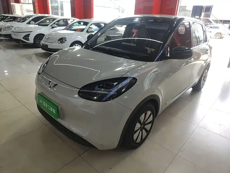 Wuling Motors Wuling Bingo 333km Joyful Version 2024