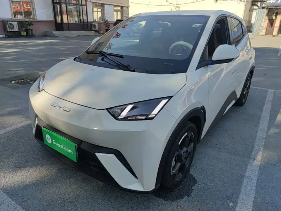 BYD Seagull Flying Edition 2023